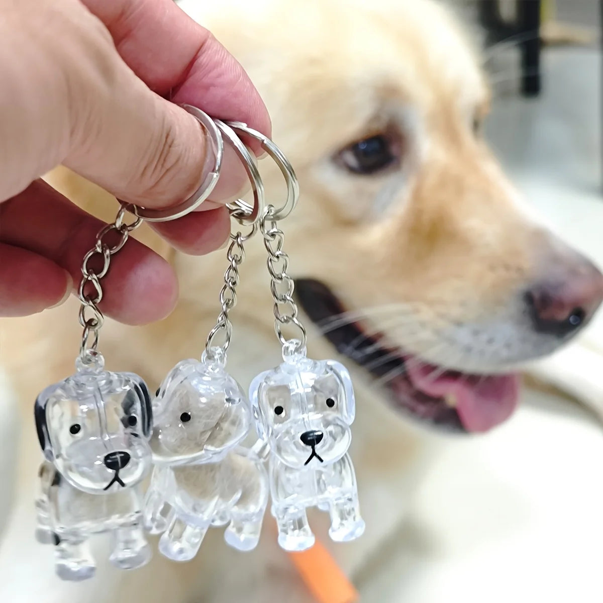 Pawzy Pets™ Pet Hair Keepsake Pendant